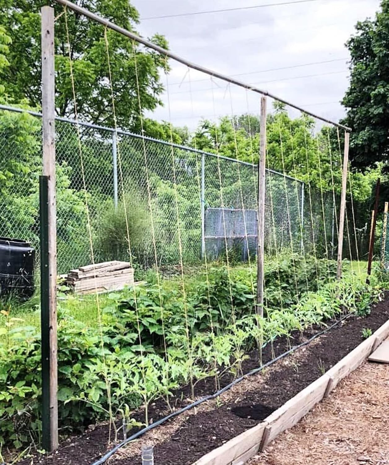 6300FT Tomato Tying Garden Twine - Durable, Heavy-Duty Twine for Support and Growth
