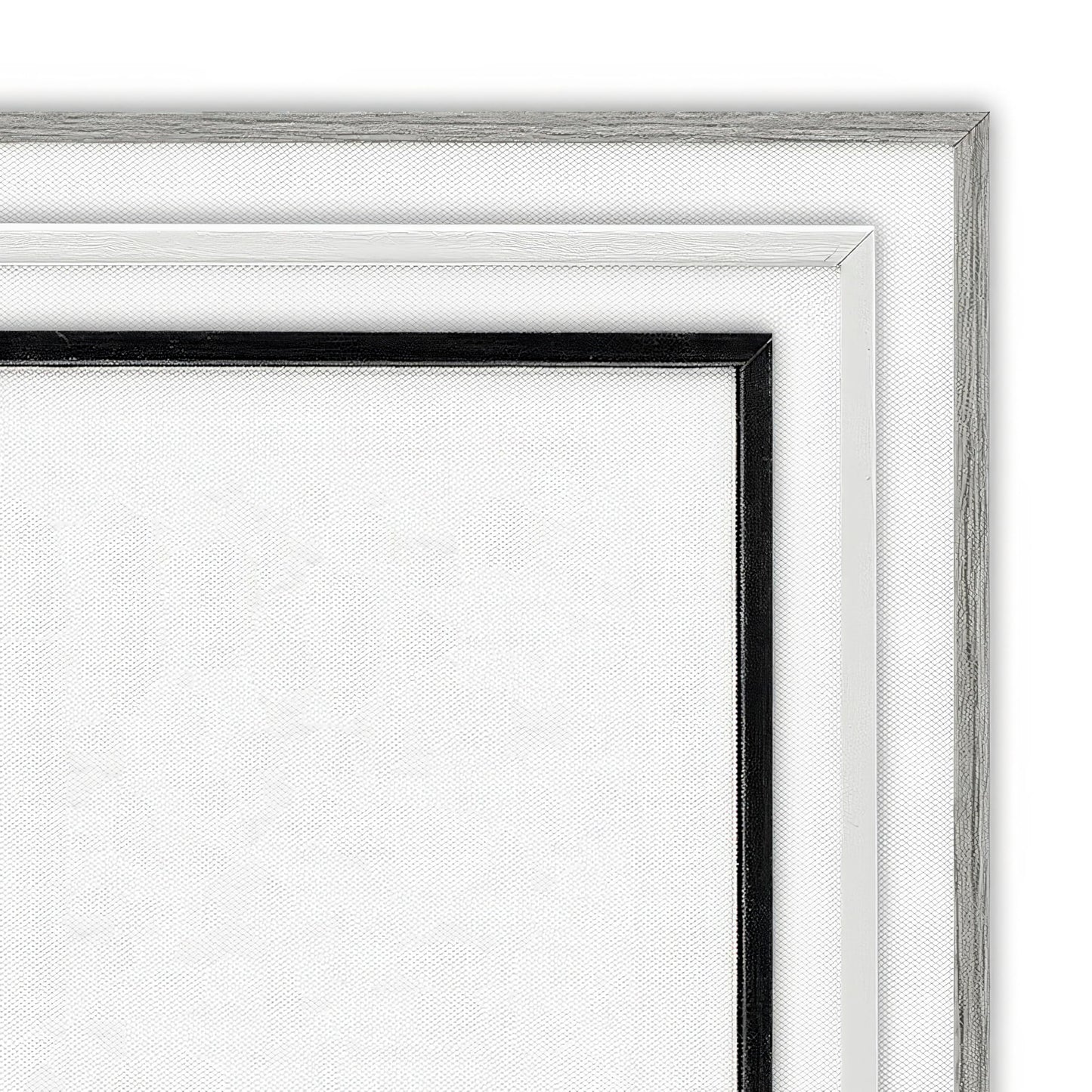 Country White Full Blossoms'| Framed Giclee Art
