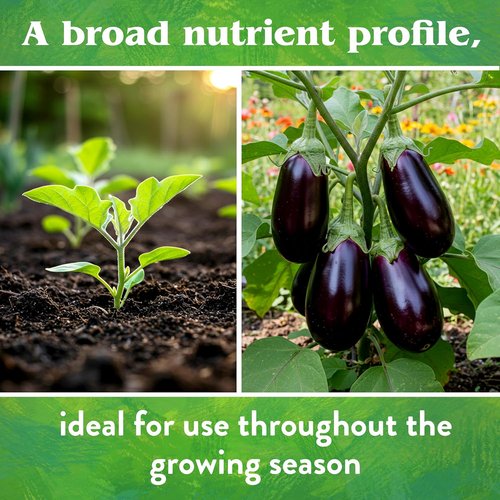 Down To Earth Organic Vegetable Garden Fertilizer - All-Natural Plant Food for Herbs & Greens, 1 lb