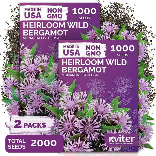 KVITER Wild Bergamot Seeds - 2,000 Organic Non-GMO Bee Balm Seeds for Pollinator Gardens | 2 Pack