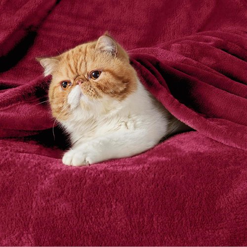 Bedsure Flannel Fleece Luxury Blanket - Cozy Plush Microfiber in Red | Queen Size (90"x90")